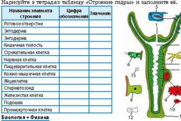 Как попасть на кракен