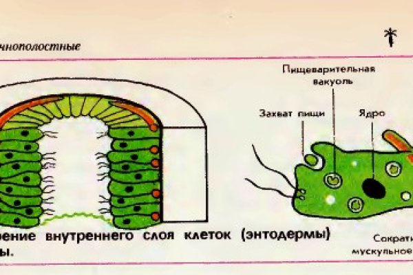 Кракен омг мега