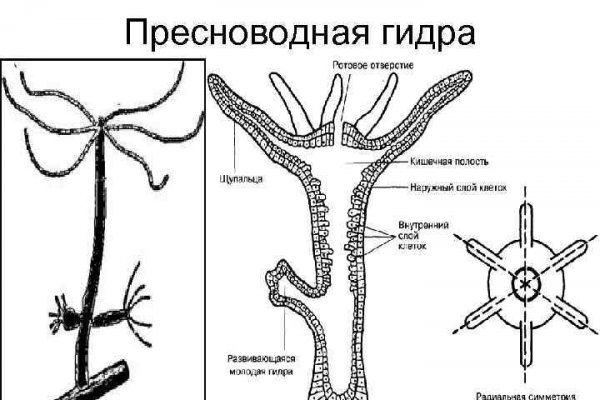 Кракен ссылка pw