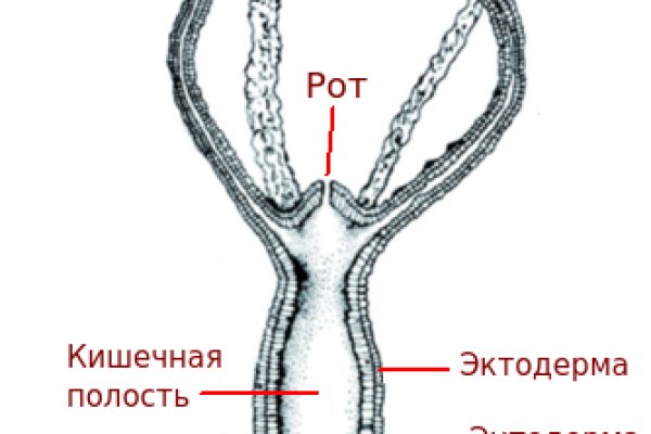 Кракен ссылка официальная в тор