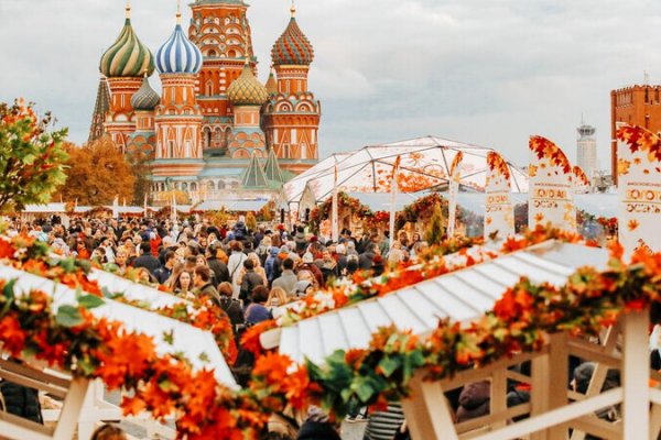 Ссылка на кракен в тор браузере